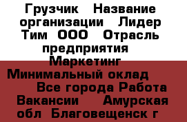 Грузчик › Название организации ­ Лидер Тим, ООО › Отрасль предприятия ­ Маркетинг › Минимальный оклад ­ 25 700 - Все города Работа » Вакансии   . Амурская обл.,Благовещенск г.